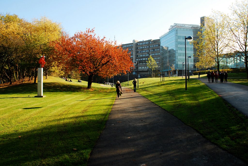 Vrije Universiteit Brussel